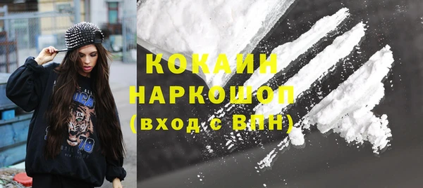 индика Новосибирск